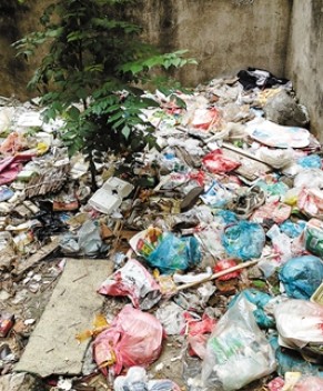 深圳寶安一小區(qū)老鼠橫行  市民希望有關(guān)部門幫助解決鼠患
