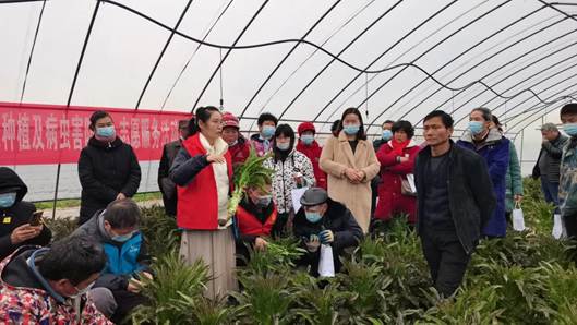 武大綠洲在鄂州舉辦綠色防控技術(shù)培訓(xùn)會