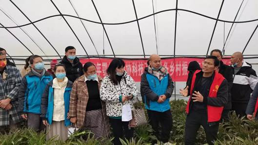 武大綠洲在鄂州舉辦綠色防控技術(shù)培訓(xùn)會